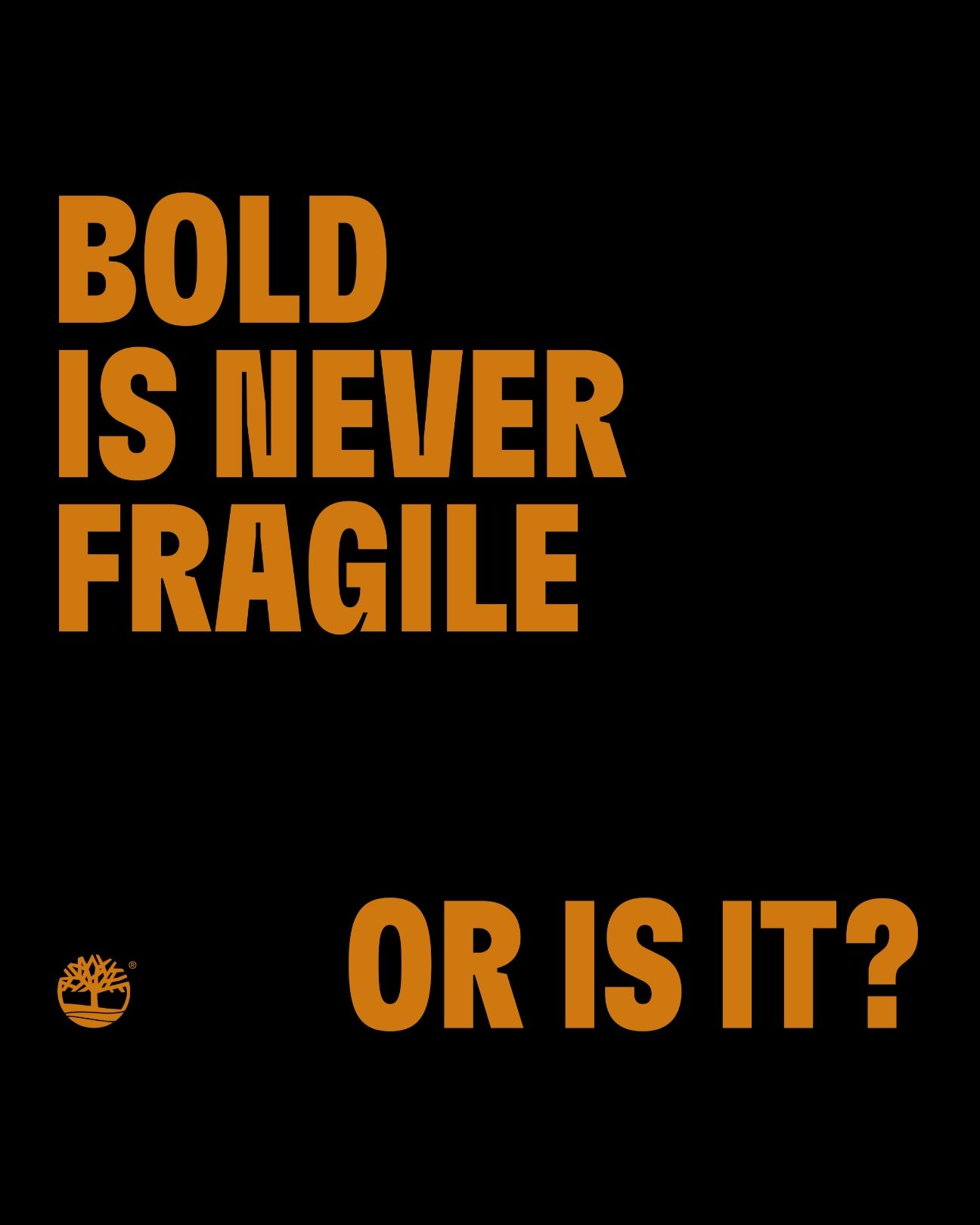 Bold is never fragile. Or is it?