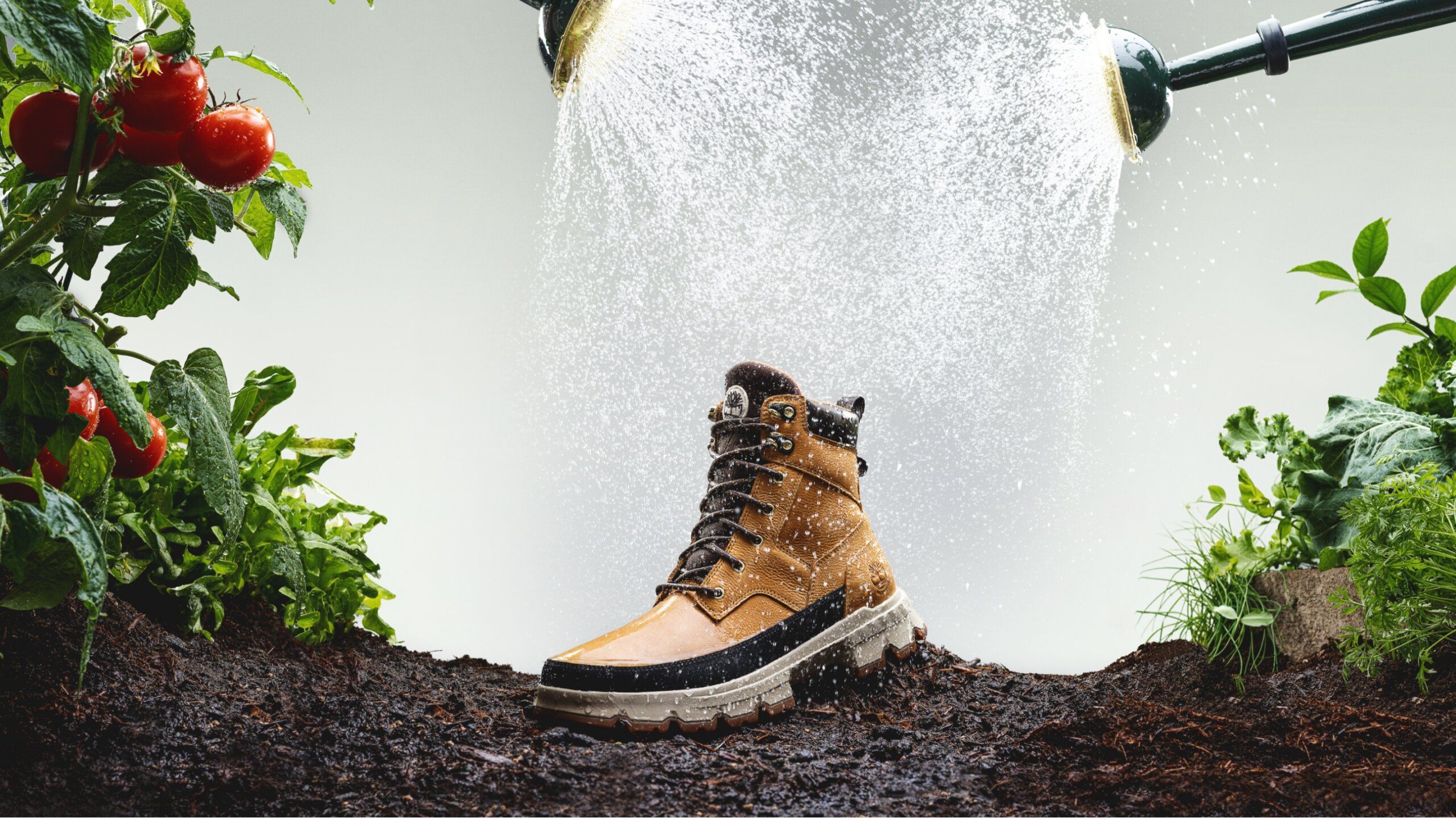 Timberland boot in garden being watered