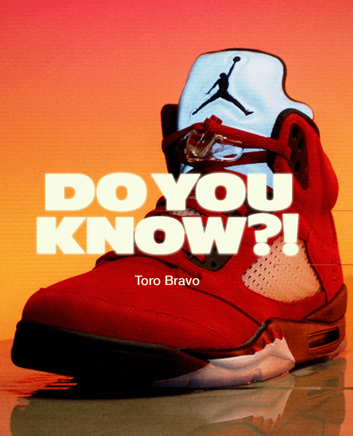 Red Jordan 5 Sneaker with text reading Do you know?! Toro Bravo